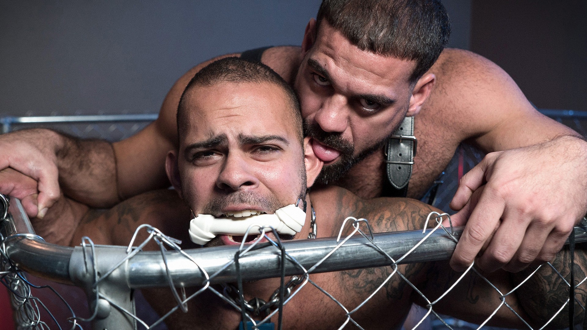 Pups Part 3 1